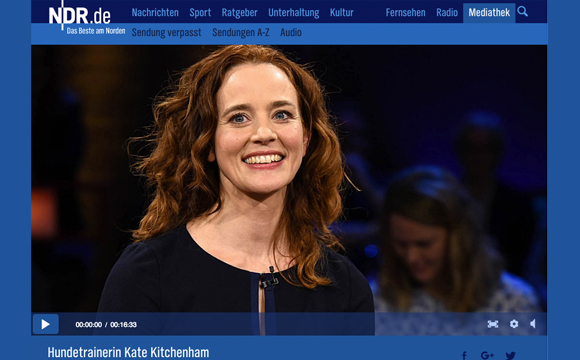 Screenshot NDR.de